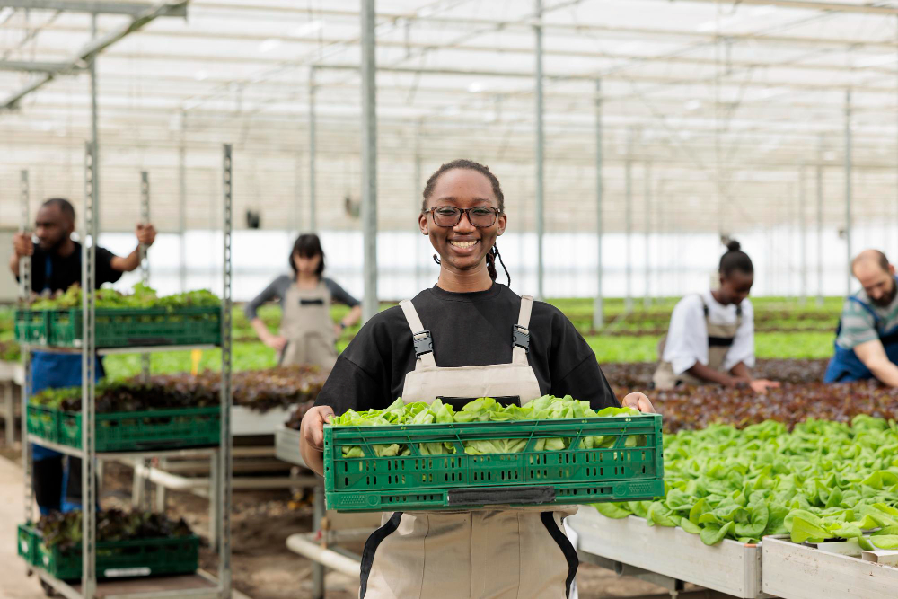 A produce professional carrying a crate of accepted vegetables